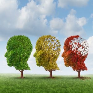 Elderly Care in Addison TX