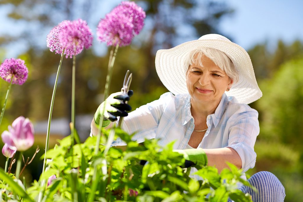 May is Stroke Awareness Month – Lower your Blood Pressure with Gardening