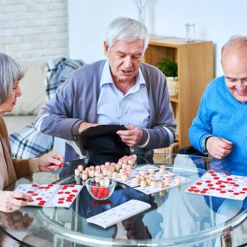 AssistingHandsRockfordInHomeCareBingo