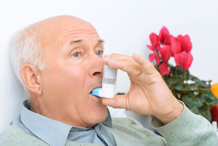 Home Care Assistance in Stratham NH