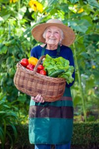 Elderly Care in Herndon VA: Keep Seniors Gardening!