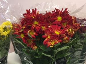 thanksgiving-flowers-for-clients-2016