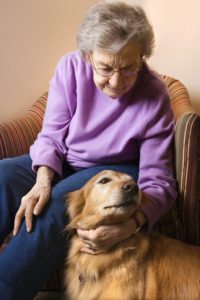 Elder Care in Palm Beach County FL: Elder Care in Palm Beach County FL: Encouraging Your Loved One to Volunteer during ASPCA Month