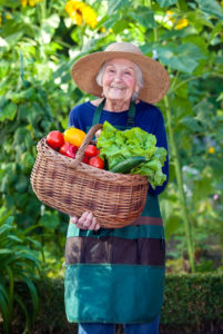Elderly Care in Redington Beach FL: Summer Nutritional Needs for Seniors