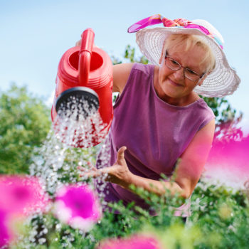 Senior woman working in her garden with a plants. Hobbies and leisure