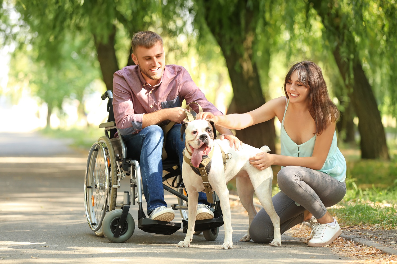 taking-care-of-a-disabled-adult-spouse-at-home-assisting-hands-home-care