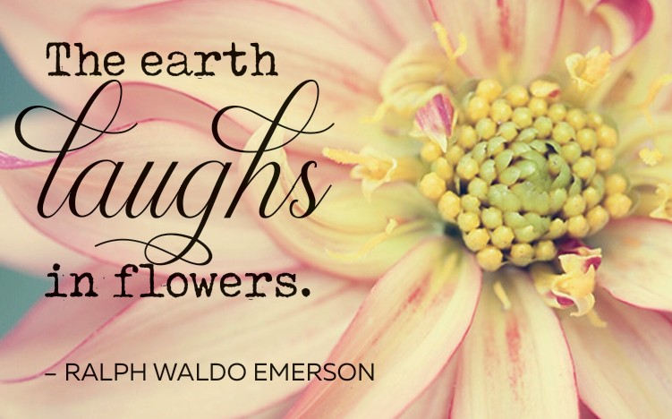 the earth laughs in flowers