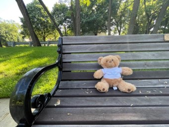 Green Bay Trail Bench