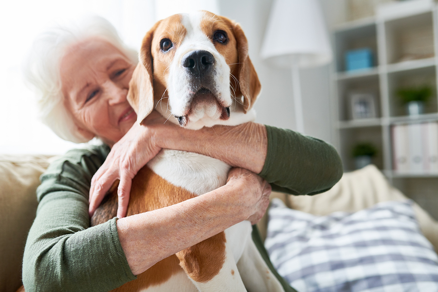 Companion Care at Home in Milton GA