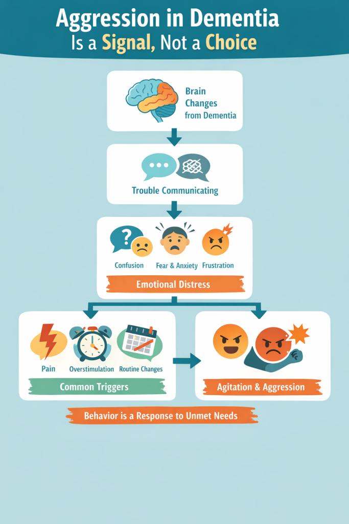 Visual guide showing causes of aggression in dementia