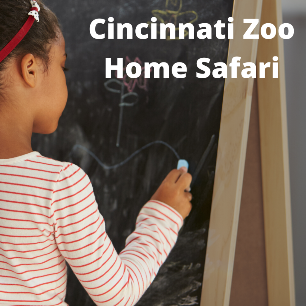 Cincinnati Zoo Home Safari