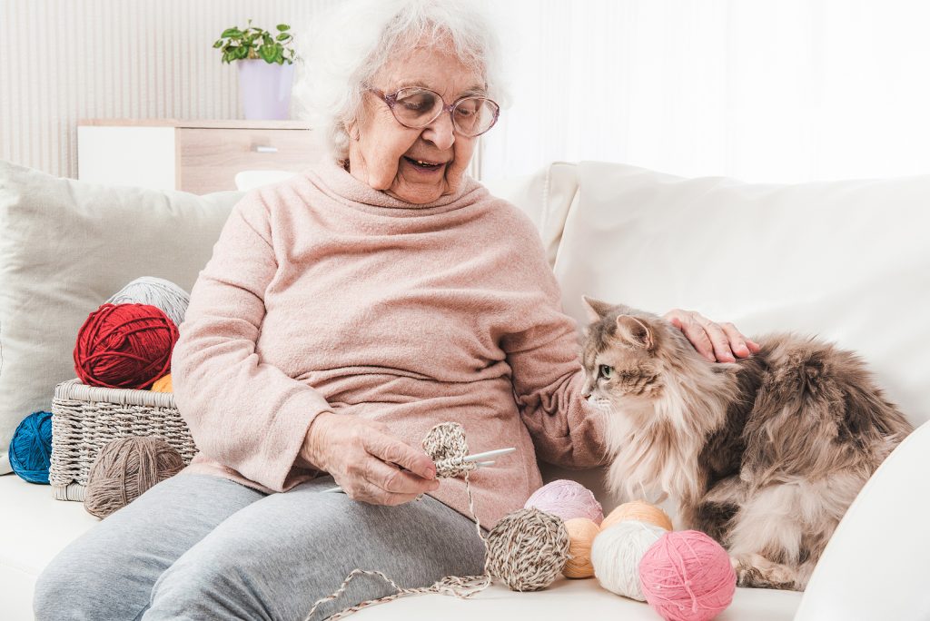 Senior Home Care in Westminster CO