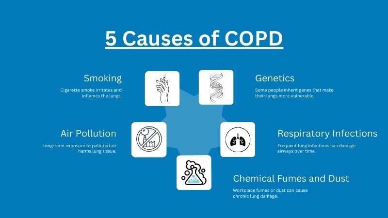 5 Causes of COPD