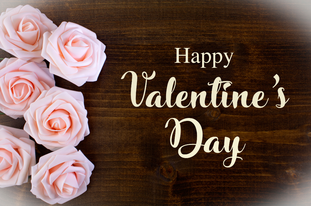 happy valentines day pink roses