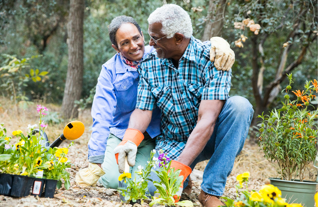 senior couple planting a garden