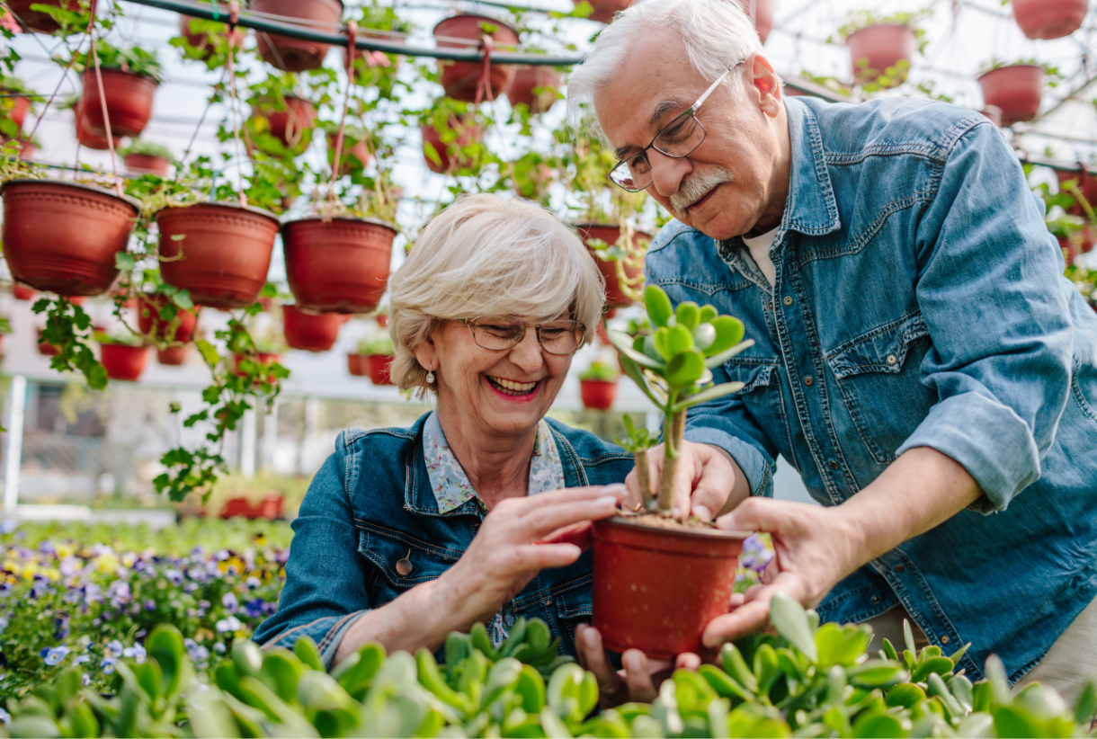 senior couple smiling and gardening during spring activities