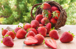 strawberry festival
