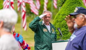 Veterans saluting